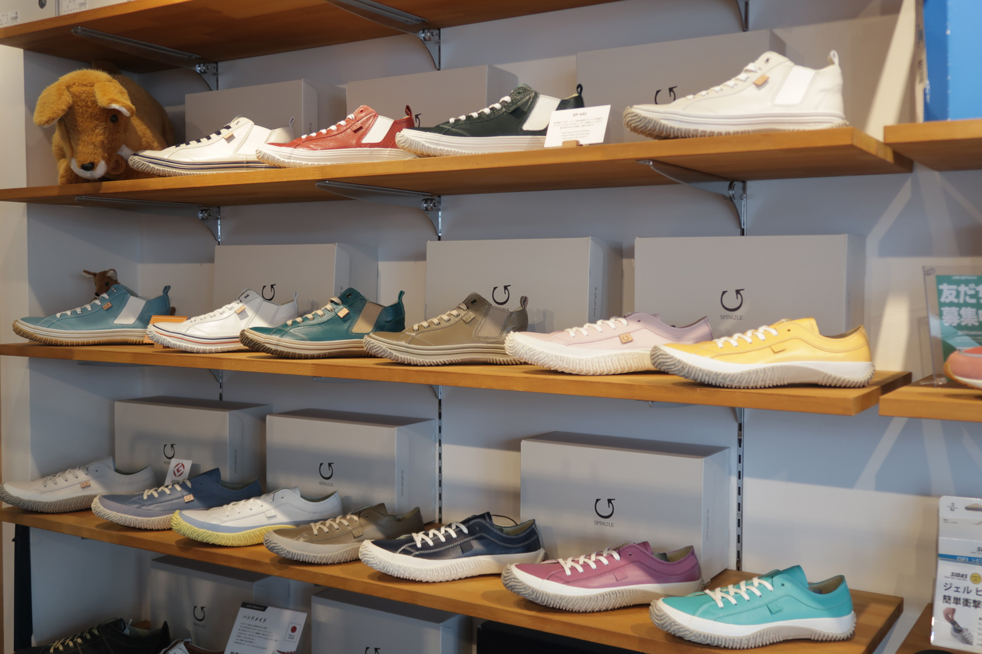 2026春のスピングルフェア開催！珍しい限定カラーも入荷！！